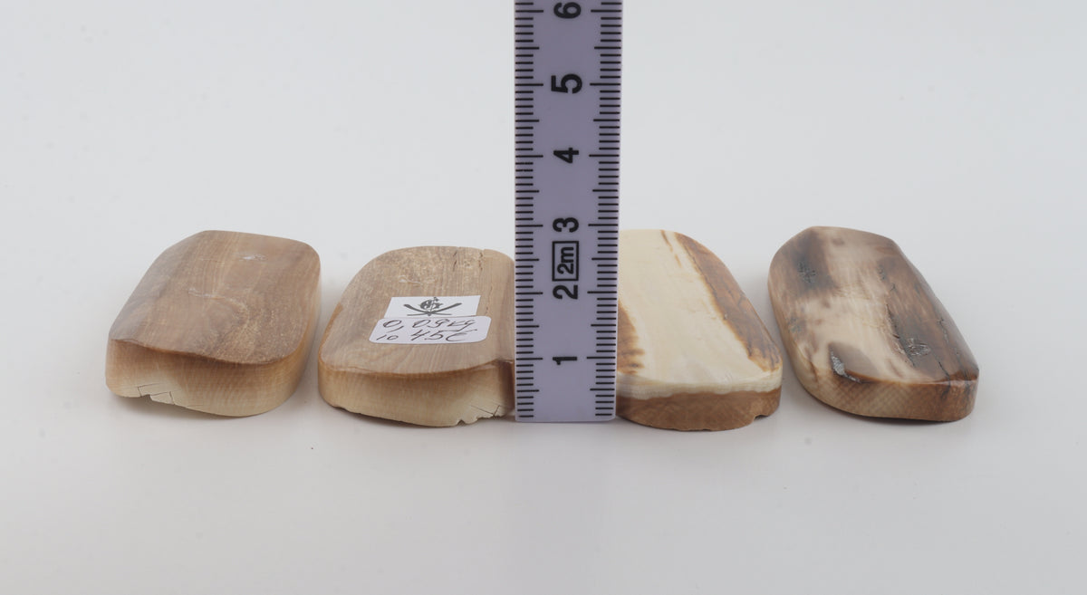 Natural mammoth bark pieces