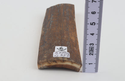 Brown-caramel mammoth bark