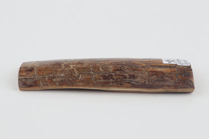 Brown mammoth bark