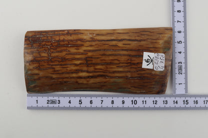 Caramel mammoth bark