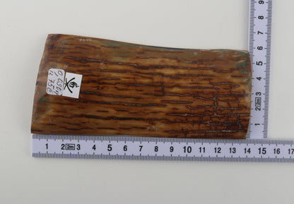 Caramel mammoth bark