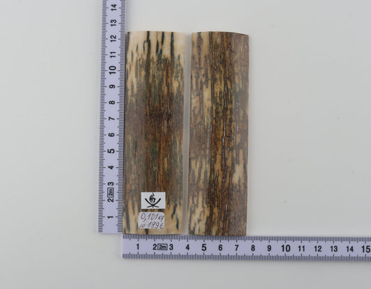 Natural mammoth bark scales