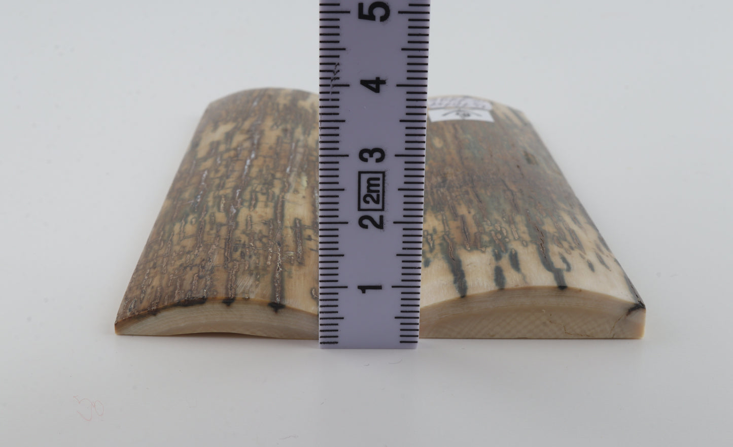 Natural mammoth bark scales