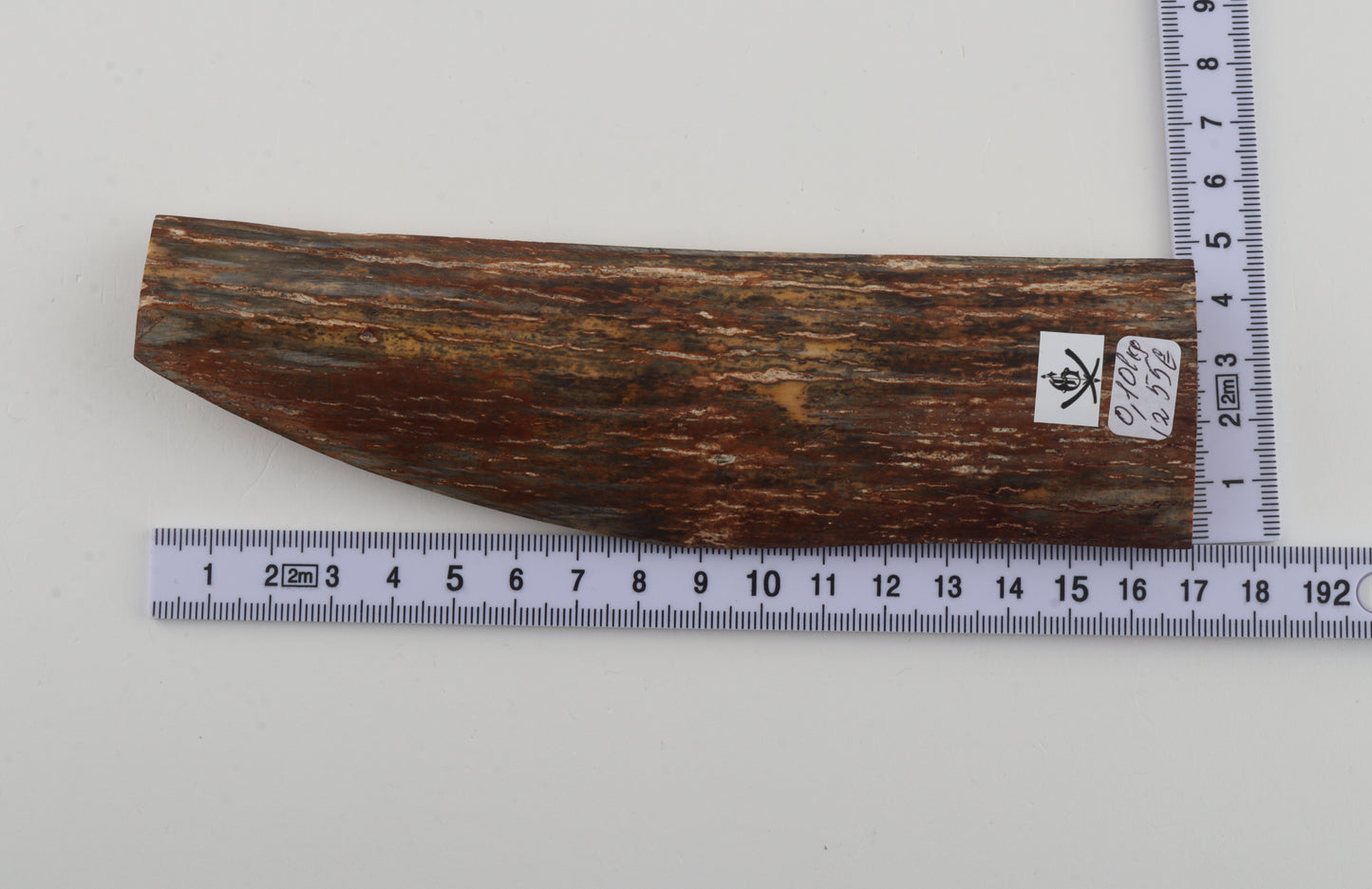 Brown-green mammoth bark