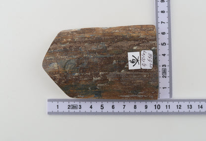 Brown-blue mammoth bark