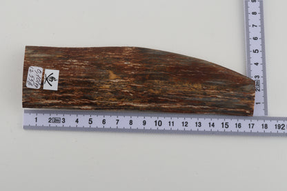 Brown-green mammoth bark