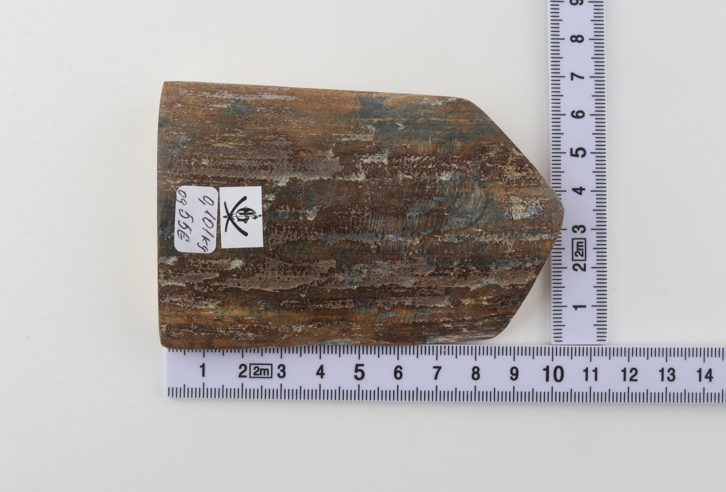 Brown-blue mammoth bark