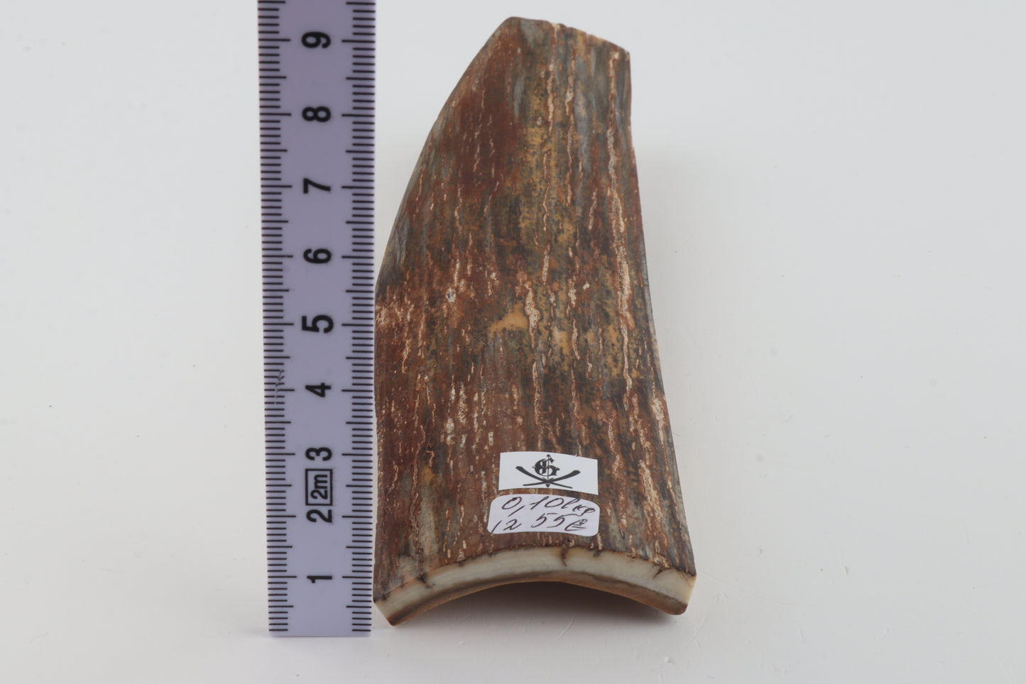 Brown-green mammoth bark