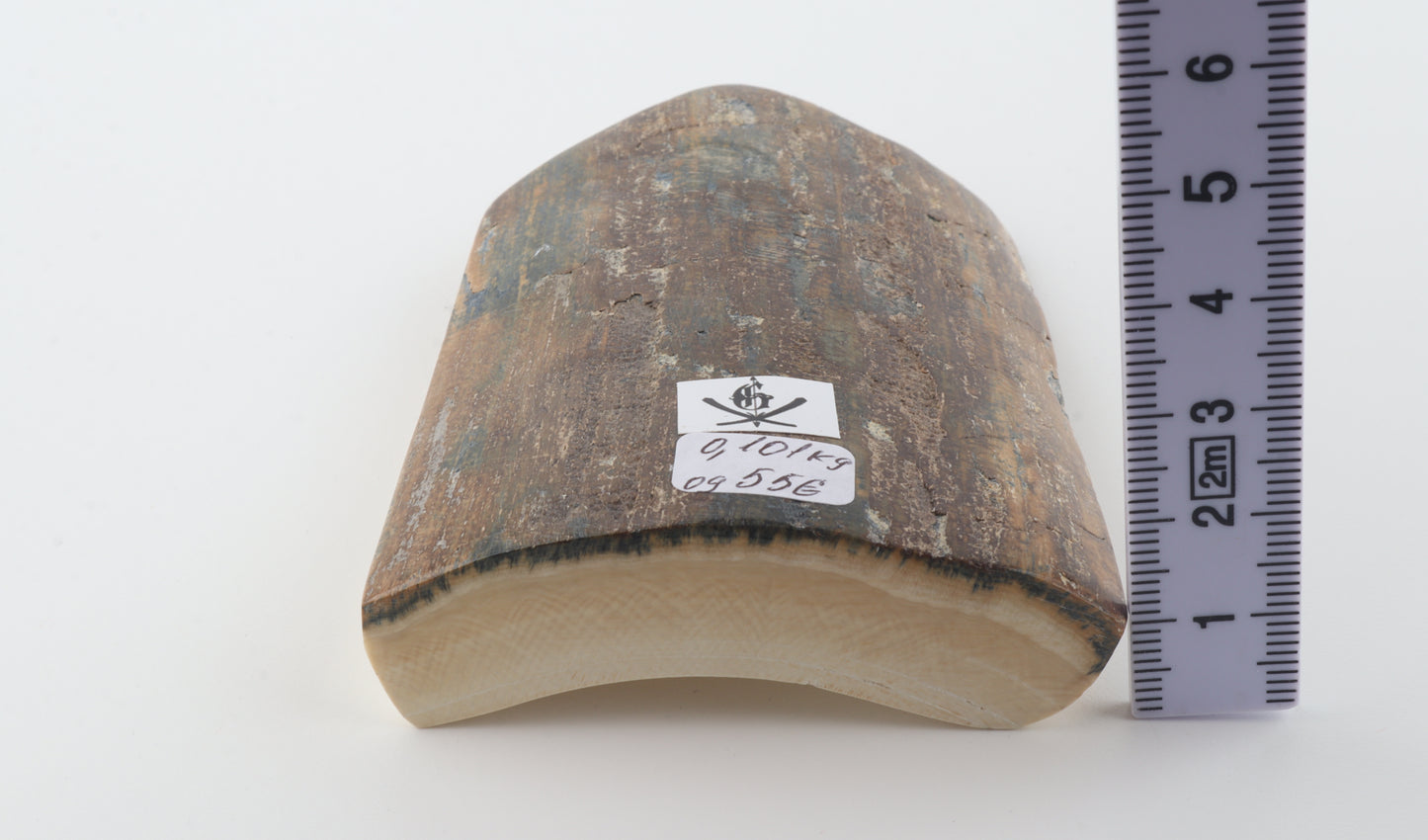 Brown-blue mammoth bark