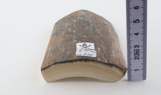 Brown-blue mammoth bark