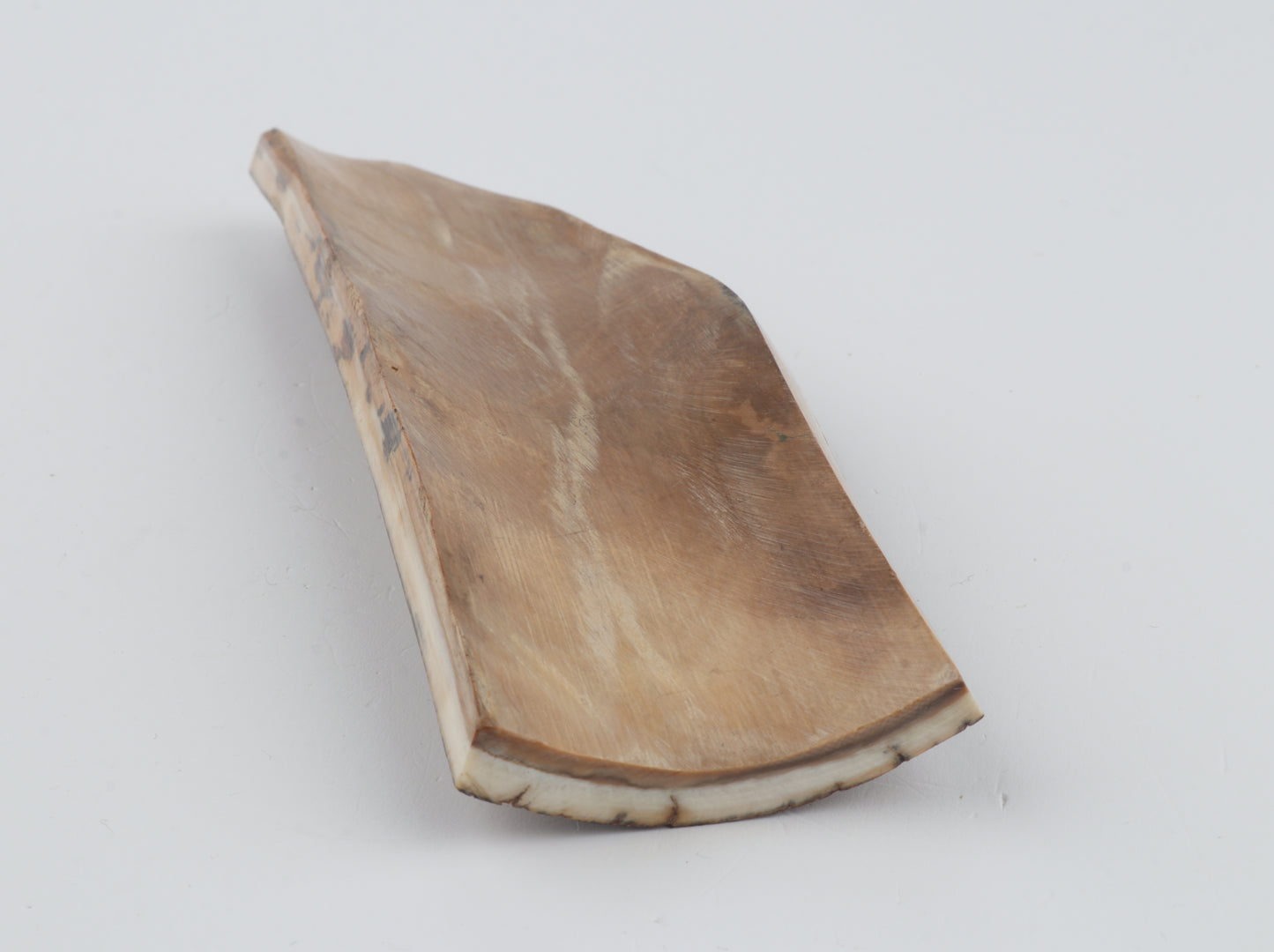 Brown-green mammoth bark