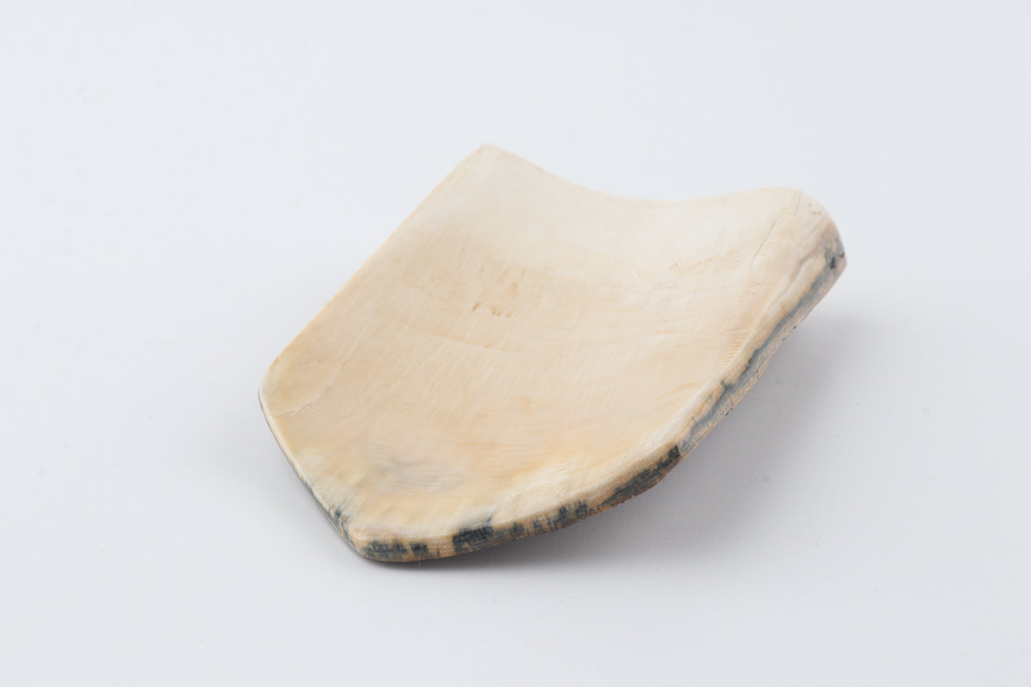 Brown-blue mammoth bark