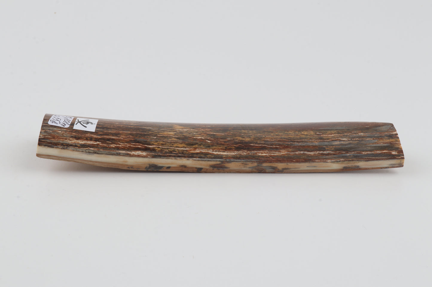 Brown-green mammoth bark