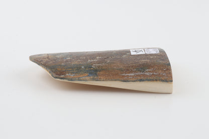 Brown-blue mammoth bark