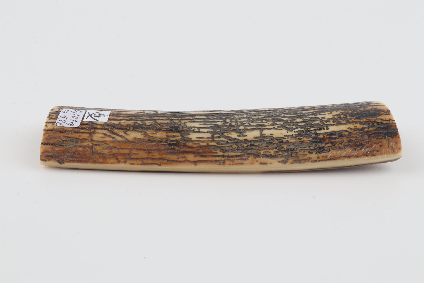 Natural mammoth bark