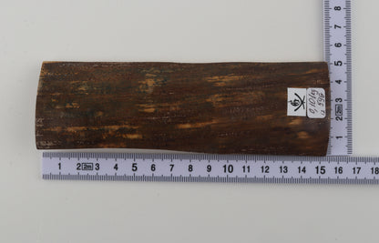 Brown-green mammoth bark