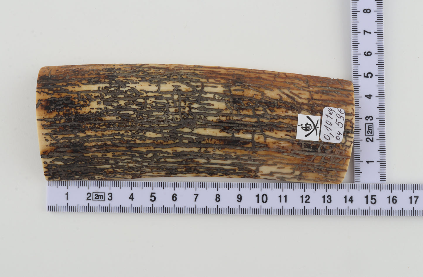 Natural mammoth bark