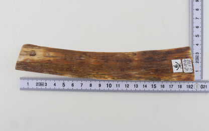 Brown-orange mammoth bark