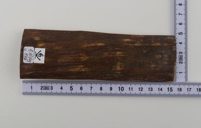 Brown-green mammoth bark