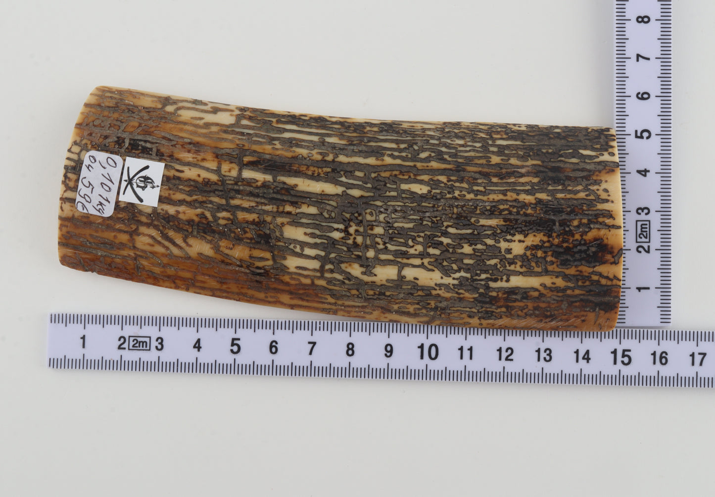 Natural mammoth bark