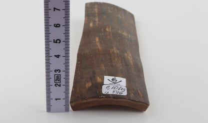 Brown-green mammoth bark