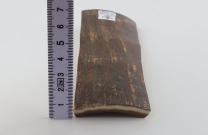 Brown-green mammoth bark