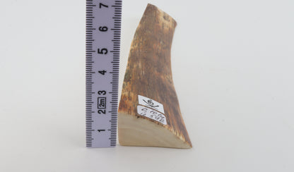 Brown-orange mammoth bark