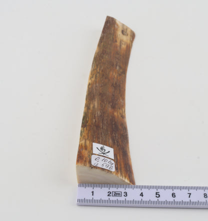 Brown-orange mammoth bark