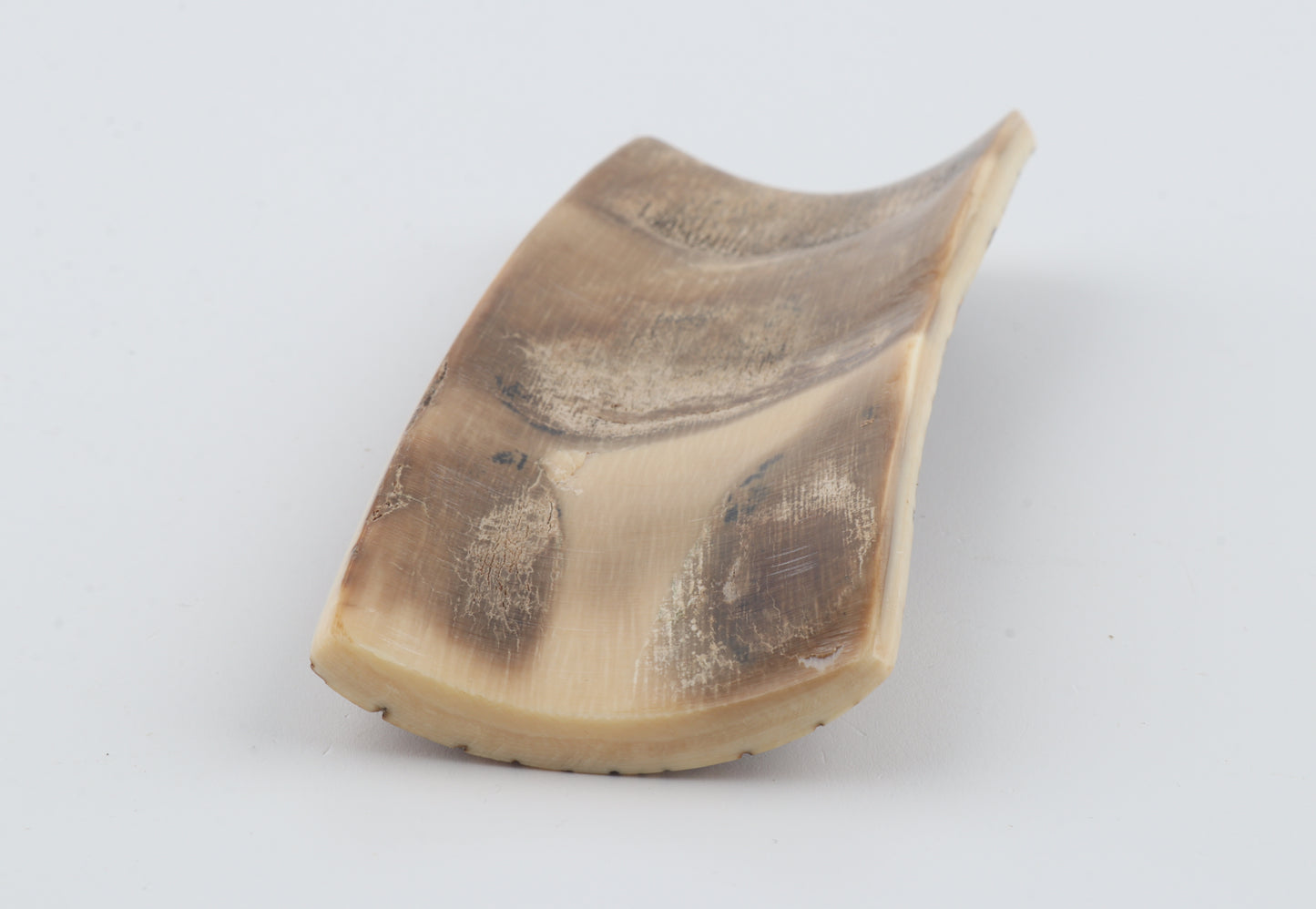 Natural mammoth bark