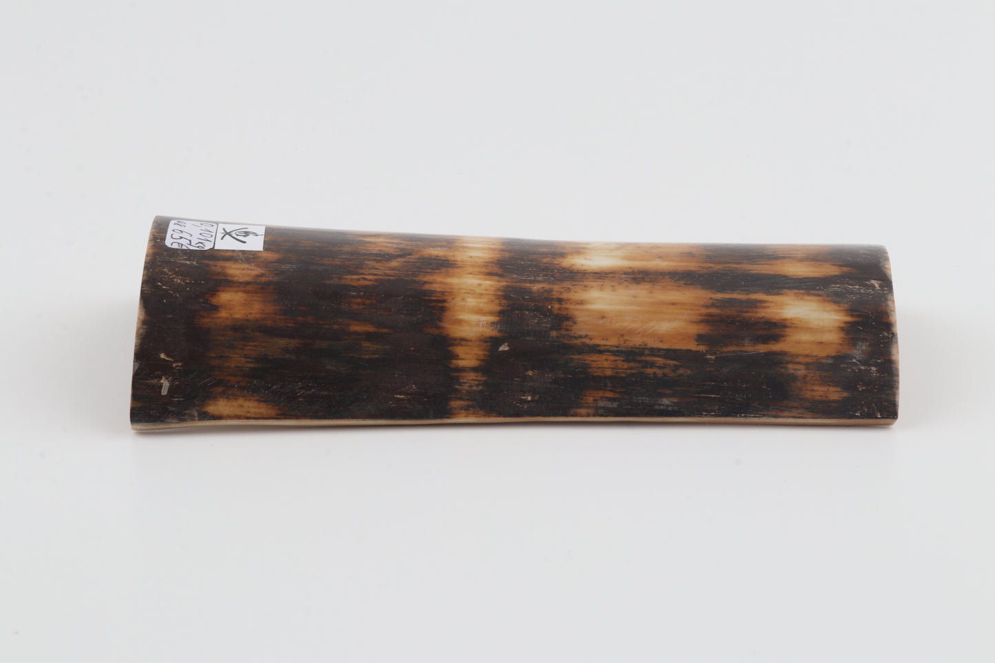 Brown-amber mammoth bark
