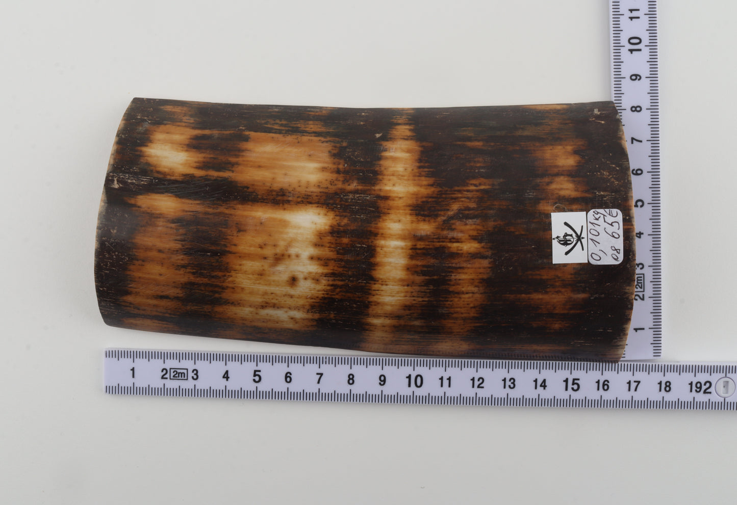 Brown-amber mammoth bark