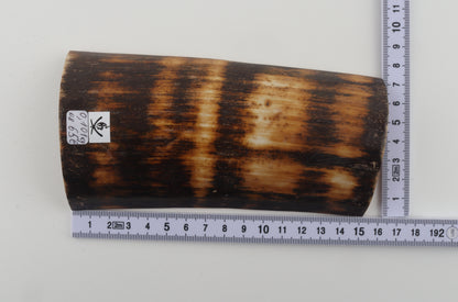 Brown-amber mammoth bark