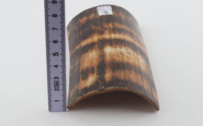 Brown-amber mammoth bark
