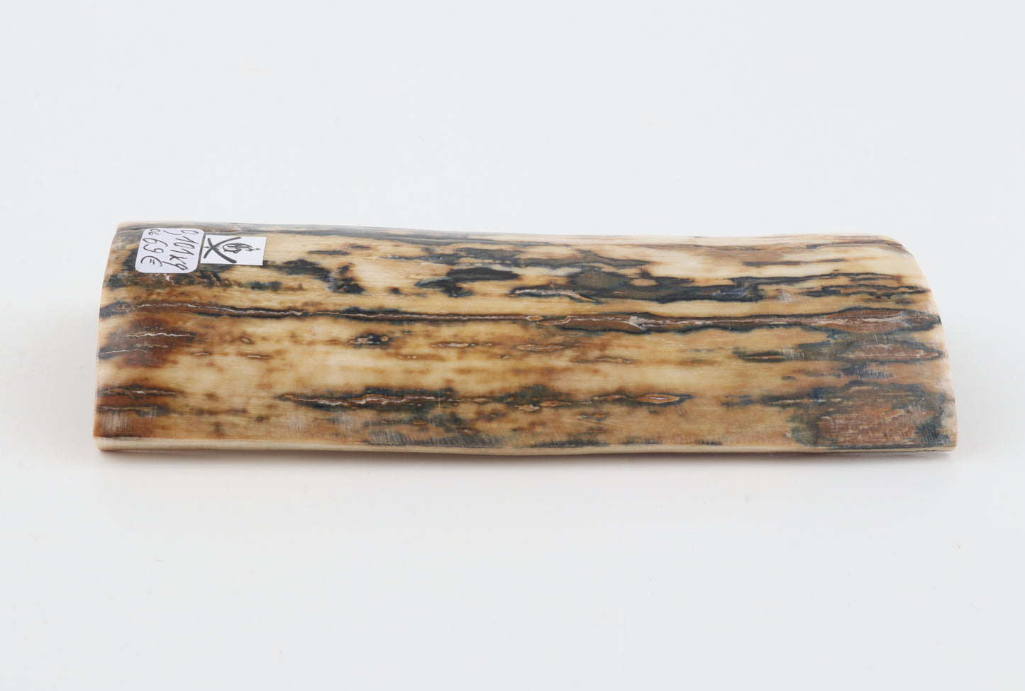 Natural woolly mammoth bark