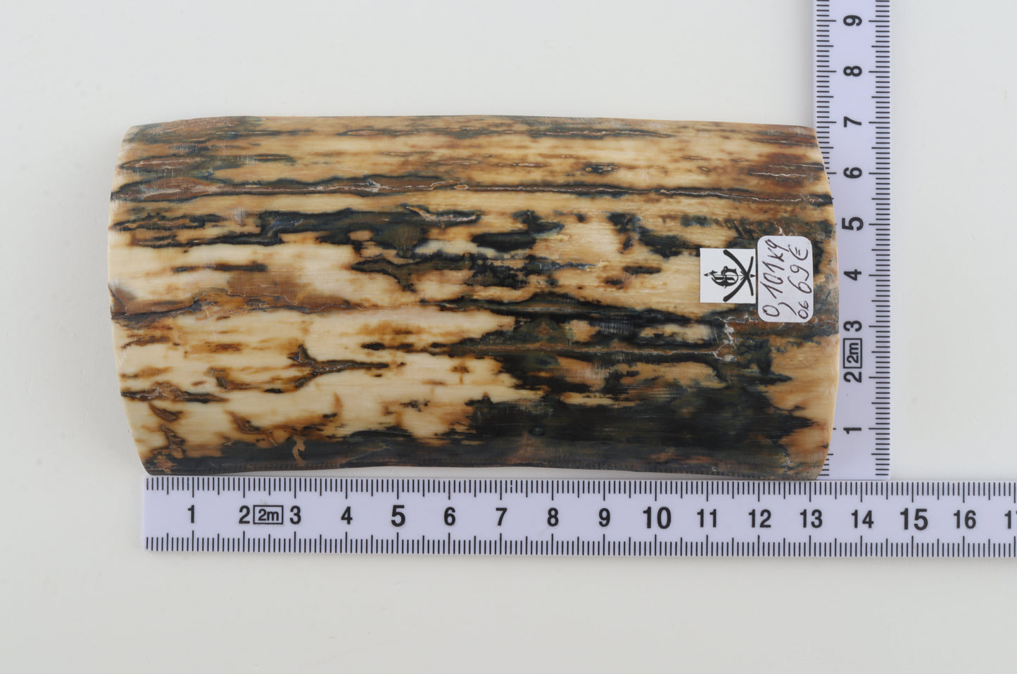 Natural woolly mammoth bark