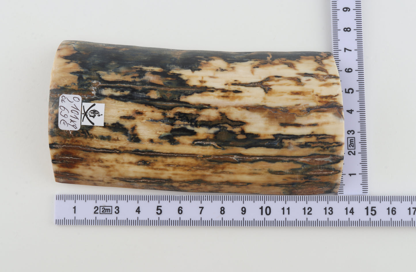 Natural woolly mammoth bark