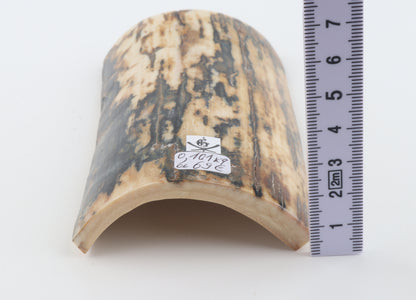 Natural woolly mammoth bark