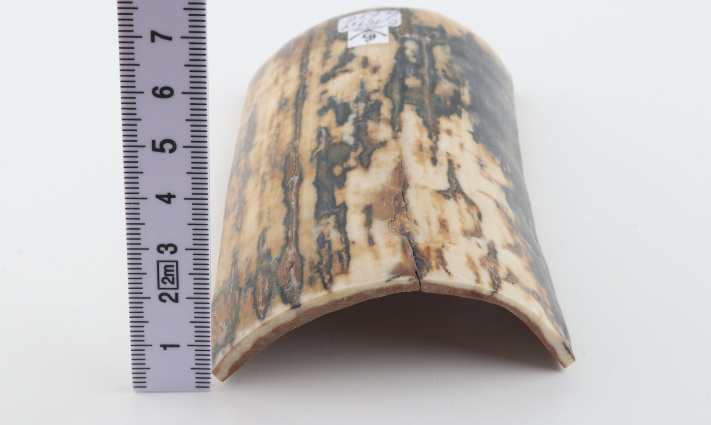 Natural woolly mammoth bark