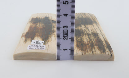 Natural mammoth bark scales