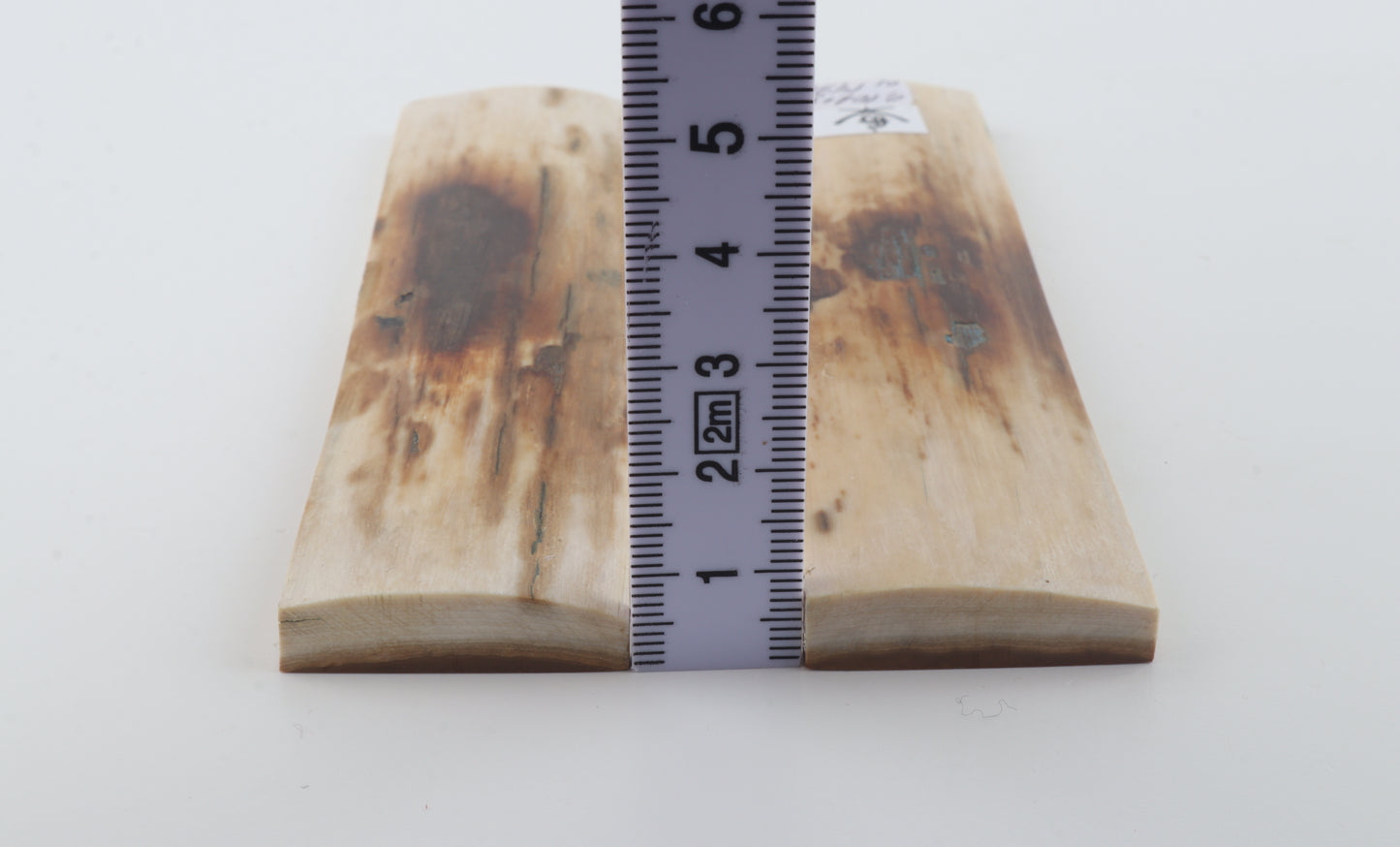 Natural mammoth bark scales