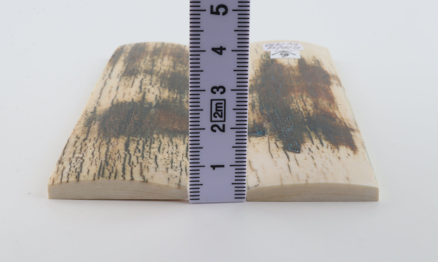 Natural mammoth bark scales