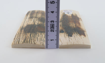 Natural mammoth bark scales