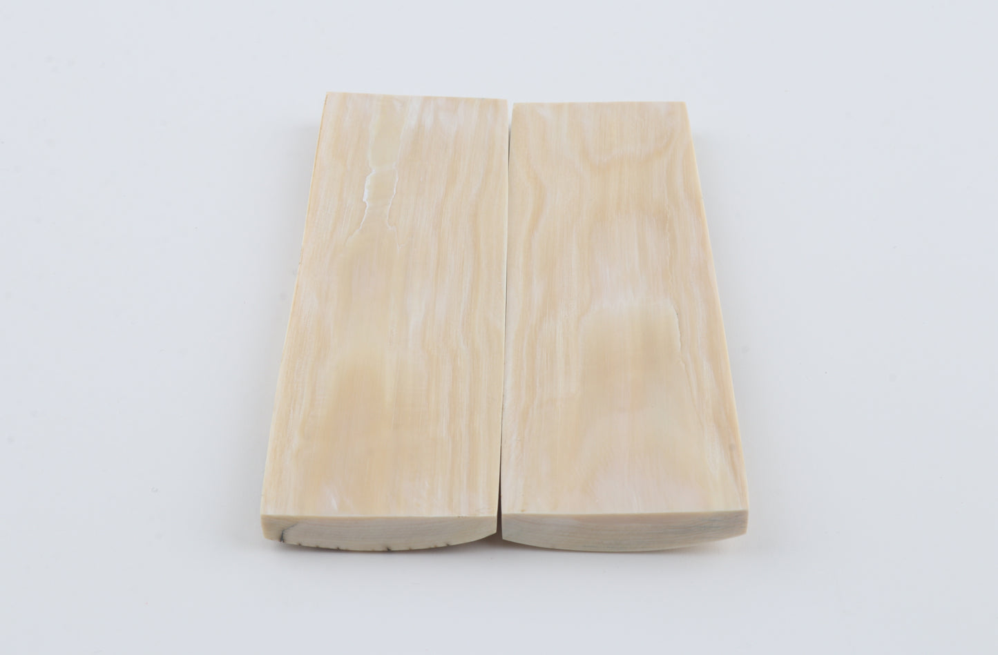 Natural mammoth bark scales