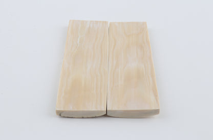 Natural mammoth bark scales