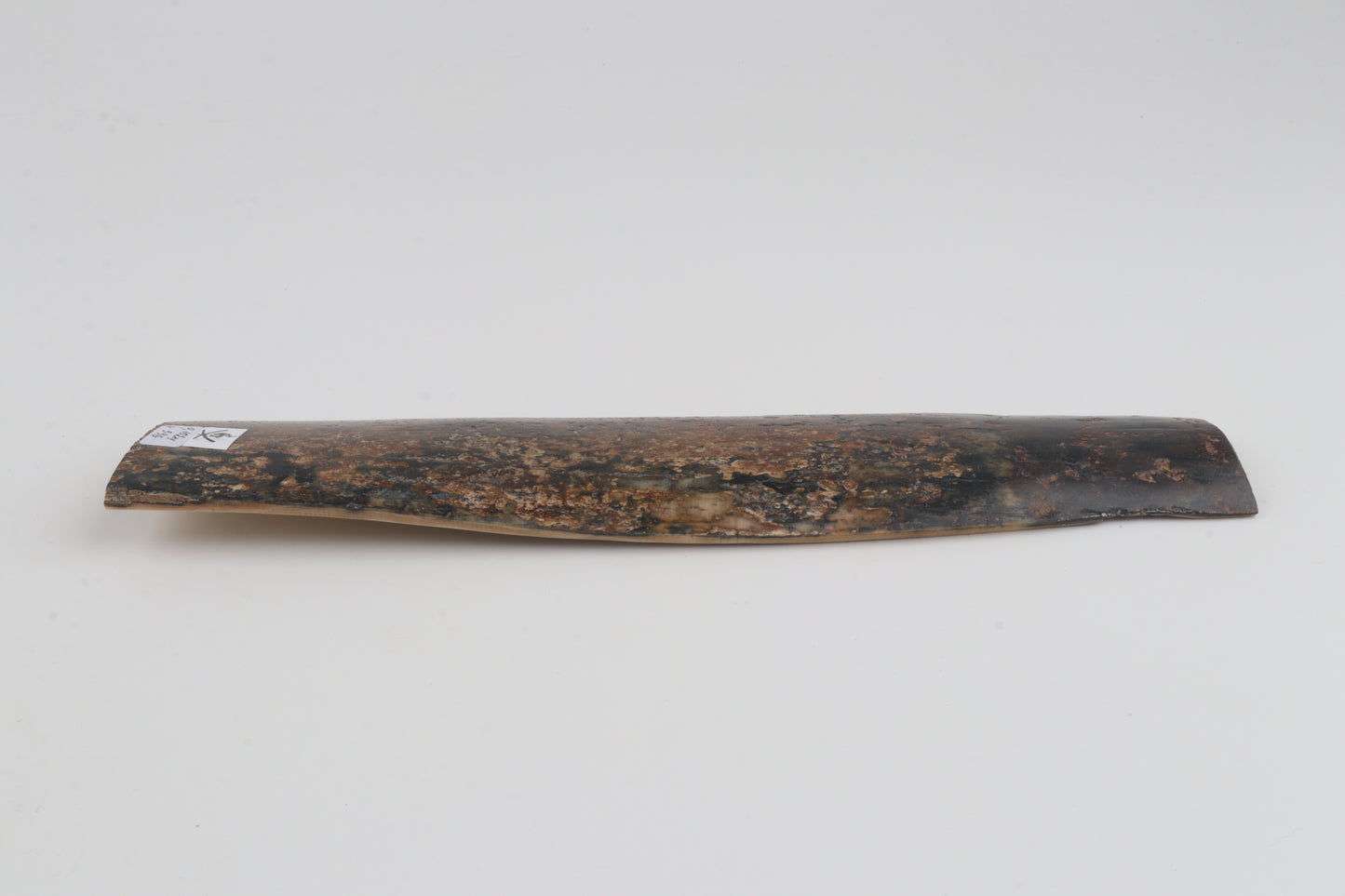 Natural mammoth bark