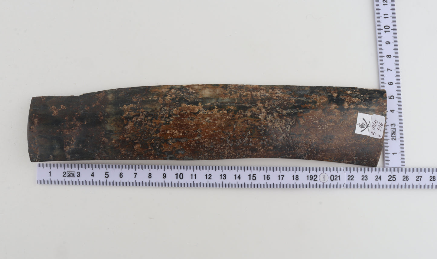 Natural mammoth bark