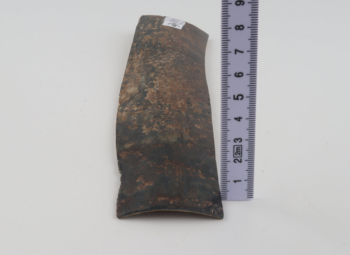 Natural mammoth bark