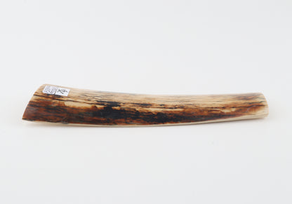 Creme-black mammoth bark
