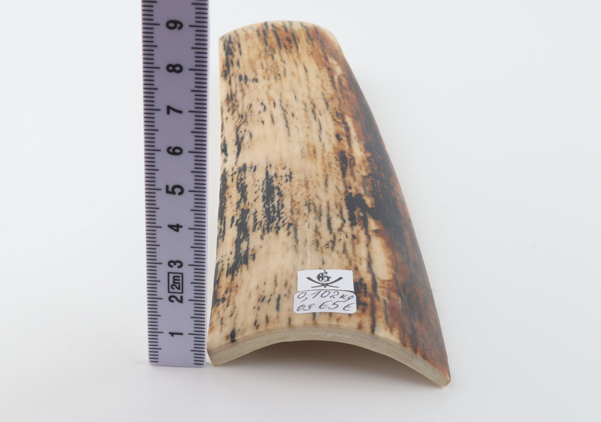Creme-black mammoth bark