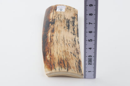 Creme-black mammoth bark
